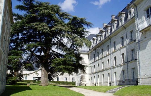 Expositions d&rsquo; été