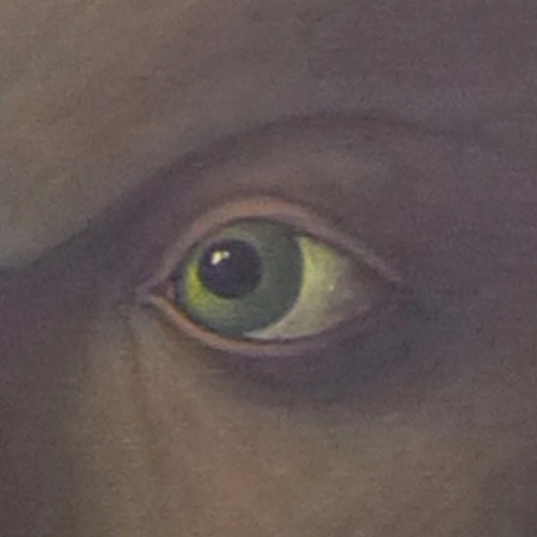 Il faut du&nbsp;temps…