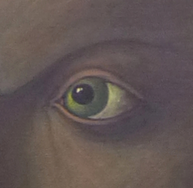 Il faut du&nbsp;temps…